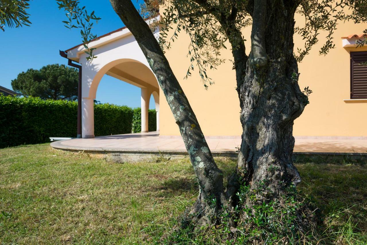 Apartments Villa Irena 포레치 외부 사진